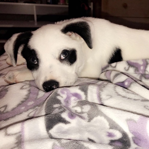 Meet your Posher, Denise - Picture 1 of 1